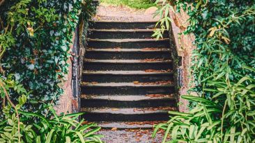 Student Q&A with Guy on 