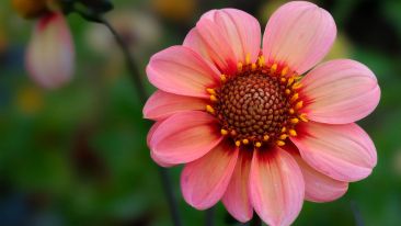 Break Out of the Box of Painful Negative Reactions