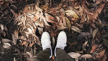 To Rise Above Stress and Sorrow Start on the Right Foot