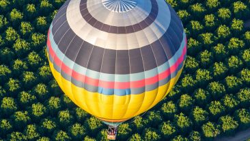 Rise Above Painful Resistance and Useless Fearful Reactions