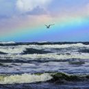 Use This Pair of Spiritual Wings to Lift You Over the Rainbow