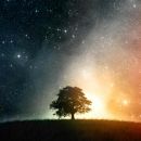 Awaken the Power of Your Supernatural Self