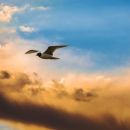 The 4 Fundamental Principles of Spiritual Freedom