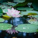 Bringing the Beatitudes to Life