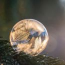 A Whole New Christmas Story