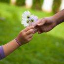 Freedom to Forgive: The Power to Put the Past Behind You