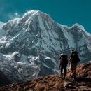 Ascend the True Spiritual Mountain