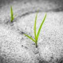 Harness the Secret Power of Conscious Persistence