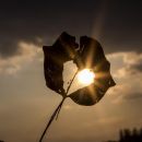 Start Healing Your Heart, Mind, and Soul